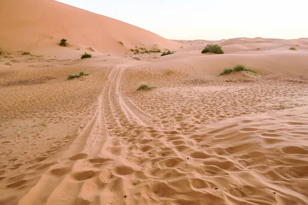 Красивый Пейзаж Пустыни Сахаре Марокко — стоковое фото