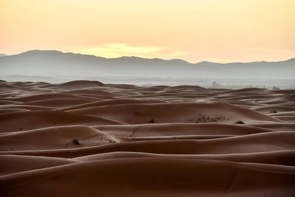 Gyönyörű Naplemente Sivatagban — Stock Fotó