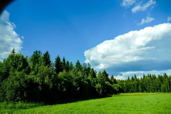 Zelený Les Modrá Obloha Mraky — Stock fotografie