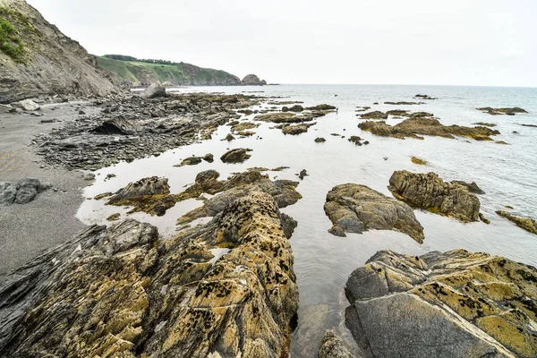 海岸的看法与岩石 — 图库照片