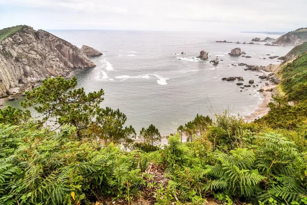 View Sea Coast Rocks — Stock Photo, Image