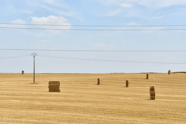 Balle Fieno Campo Campagna — Foto Stock