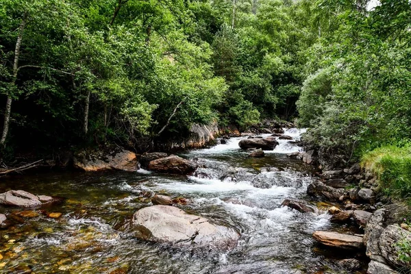 Schöne Aussicht Auf Den Fluss Wald — Stockfoto