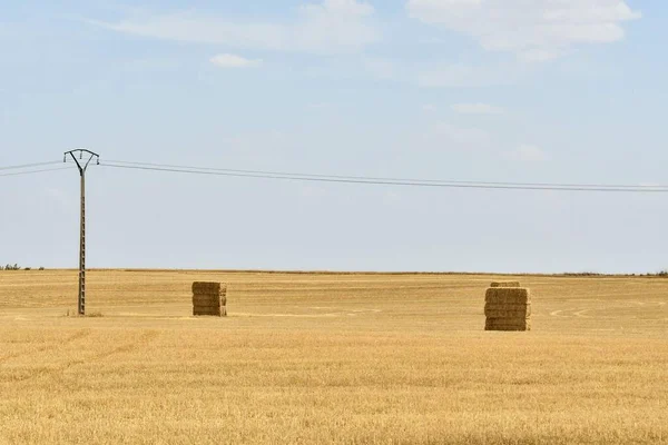 Campo Balle Fieno Mezzo Campo Grano — Foto Stock