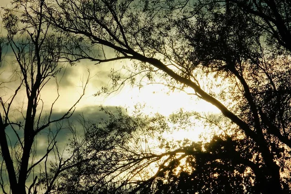 Bellissimo Tramonto Nel Parco — Foto Stock