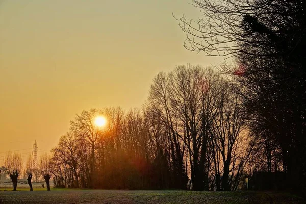 Bellissimo Tramonto Nel Parco — Foto Stock