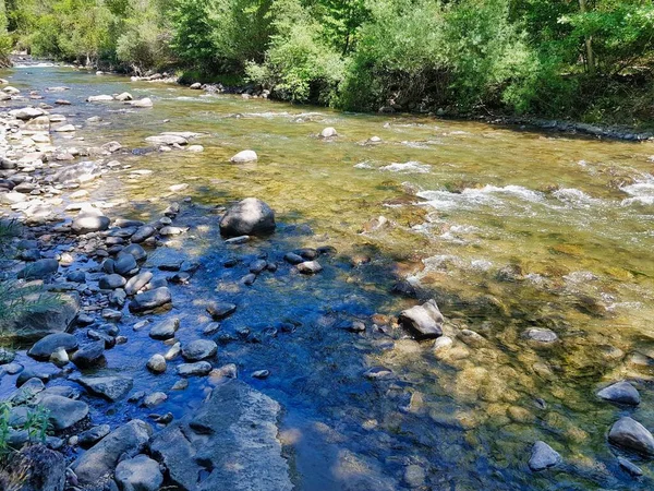 Río Bosque — Foto de Stock