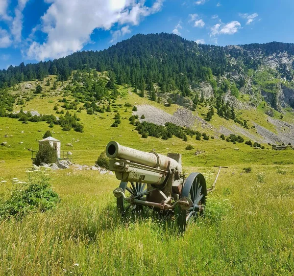 山中的大炮 — 图库照片