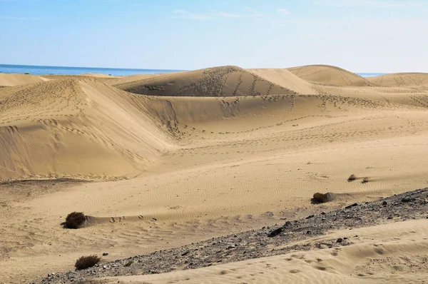 Dunas Areia Costa — Fotografia de Stock