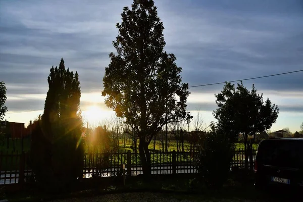 Schwarzes Auto Wald Sonnenuntergang — Stockfoto