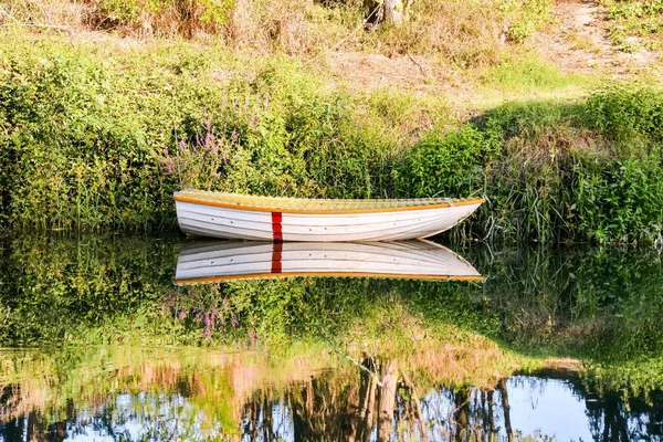 Деревянная Лодка Лесу — стоковое фото