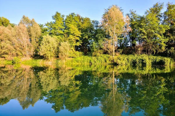 Bela Paisagem Com Árvores Lago — Fotografia de Stock