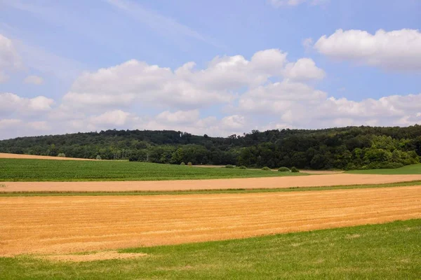 Hermosa Vista Del Campo Verde Amarillo Con Cielo Azul Nublado — Foto de Stock