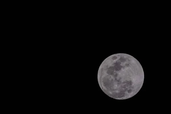 배경에 보름달 — 스톡 사진
