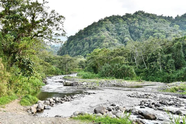 Bellissimo Paesaggio Con Fiume Foresta — Foto Stock