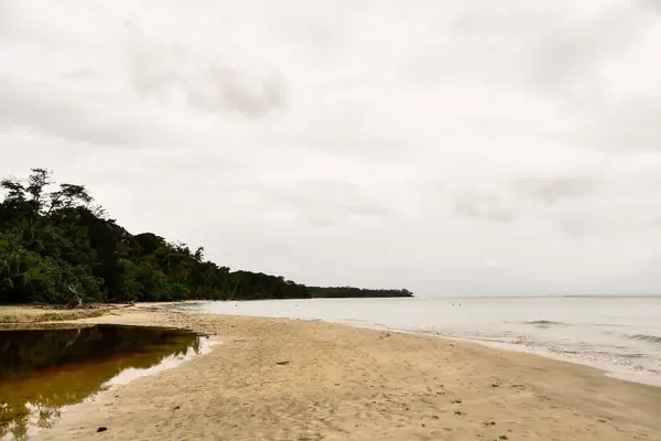 Beautiful Beach Trees Cloudy Sky — Stock Photo, Image