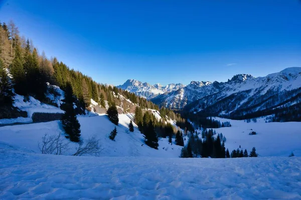 Hermoso Paisaje Invierno Con Bosque Montaña — Foto de Stock