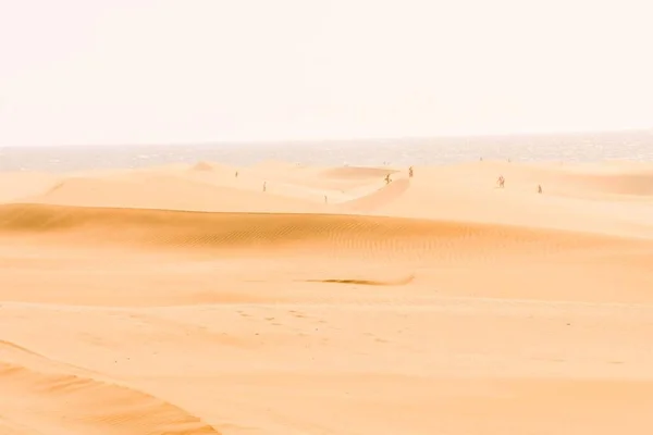 Uitzicht Zandduinen Aan Kust — Stockfoto