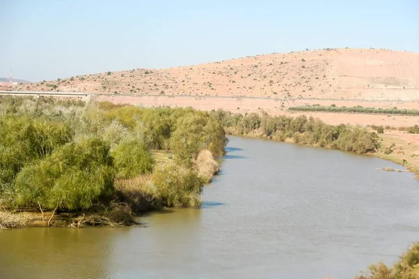 Çöldeki Nehir — Stok fotoğraf