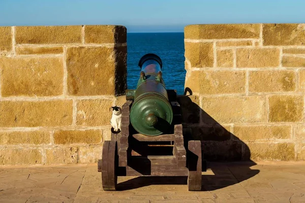 海岸上的旧大炮 — 图库照片
