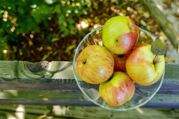 Frische Reife Äpfel Auf Einem Holztisch — Stockfoto