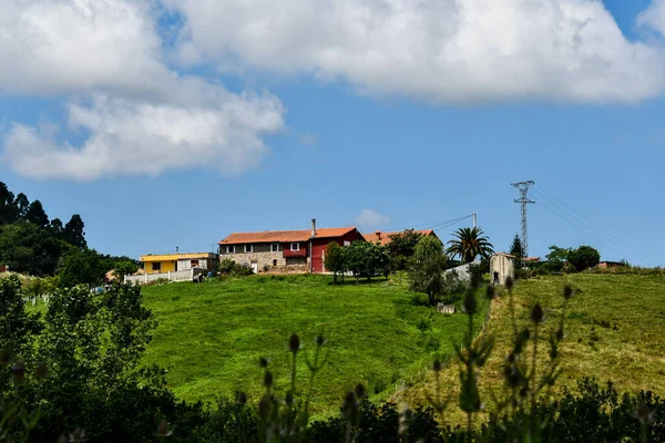 Rural Landscape Photo Background Digital Image —  Fotos de Stock