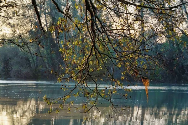 Jezioro Lesie Zdjęcie Jako Tło Obraz Cyfrowy — Zdjęcie stockowe