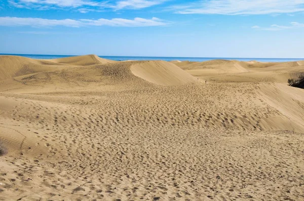 Песчаные Дюны Пустыне Фото Качестве Фона — стоковое фото