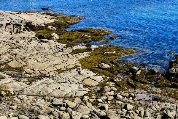 Stenar Havet Foto Som Bakgrund Digital Bild — Stockfoto