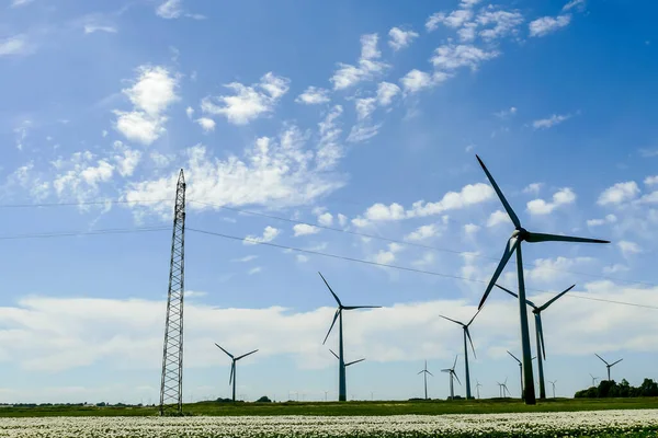 wind turbines in field, beautiful photo digital picture