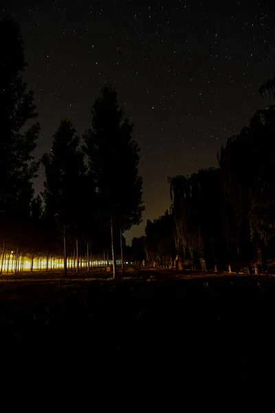 Krásná Noční Krajina Hvězdami — Stock fotografie