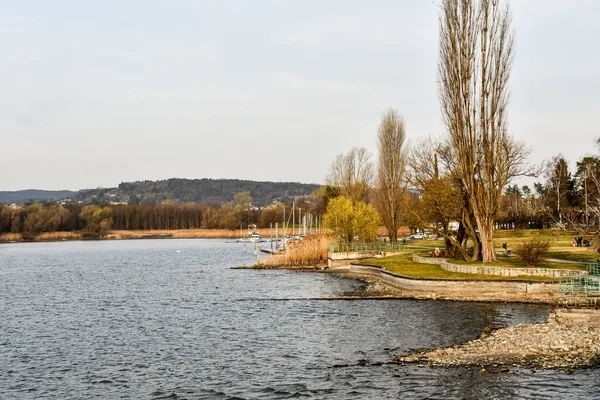 Őszi Táj Természet Folyó Kora Tavasszal — Stock Fotó