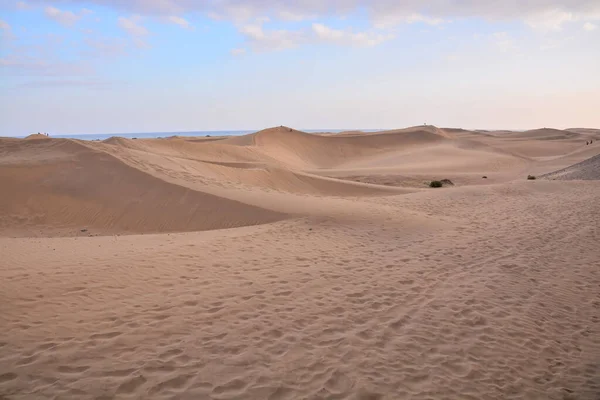 Sivatag Homokdűnékkel Maspalomas Gran Canaria Spanyolország — Stock Fotó