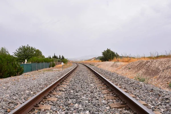 Railway Track Summer —  Fotos de Stock
