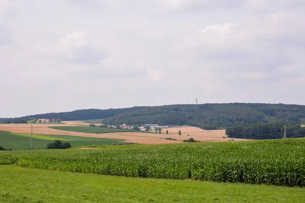 Paisaje Rural Con Campos Verdes Cielo Azul — Foto de Stock