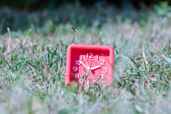 緑の草の赤い目覚まし時計 — ストック写真