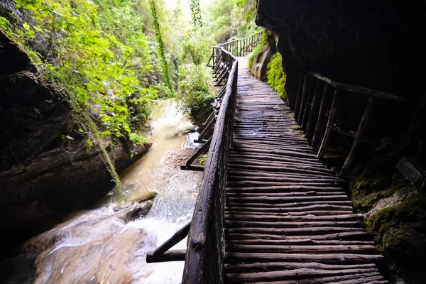 Puente Madera Bosque —  Fotos de Stock