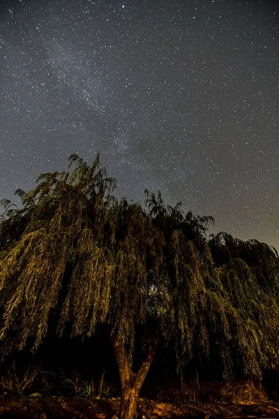 Mooie Nacht Sterrenhemel — Stockfoto