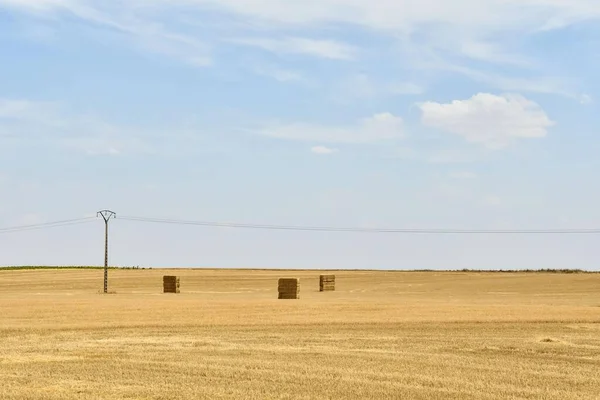 Campo Grano Campagna — Foto Stock