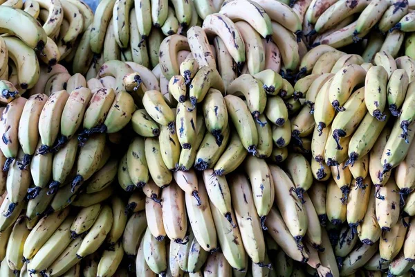 Bananenbündel Auf Dem Markt — Stockfoto