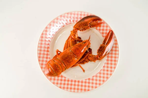 Boiled Lobster Plate White Background — Stock fotografie