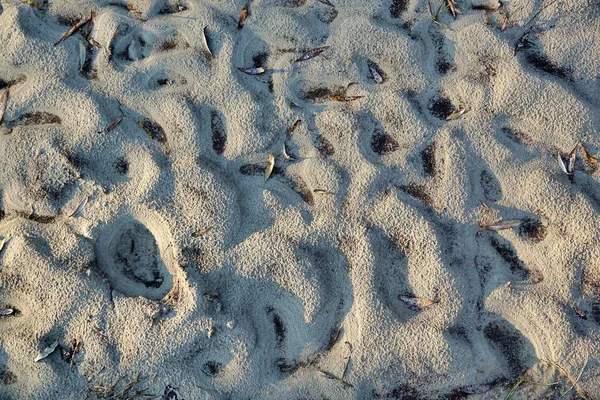 Zandstrand Met Voetafdrukken — Stockfoto