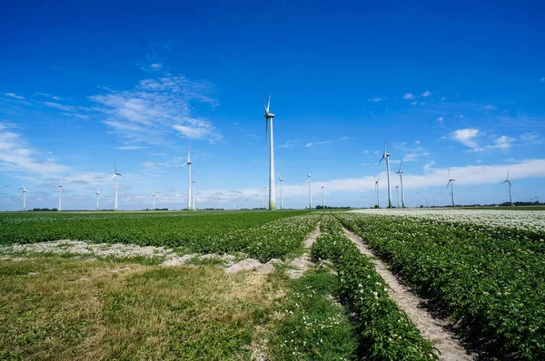 Windkraftwerk Erneuerbare Energien Und Umwelt — Stockfoto