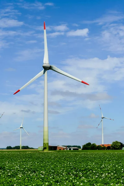 Windräder Auf Dem Feld — Stockfoto