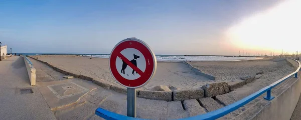 Собака Заборонений Знак Пляжі — стокове фото
