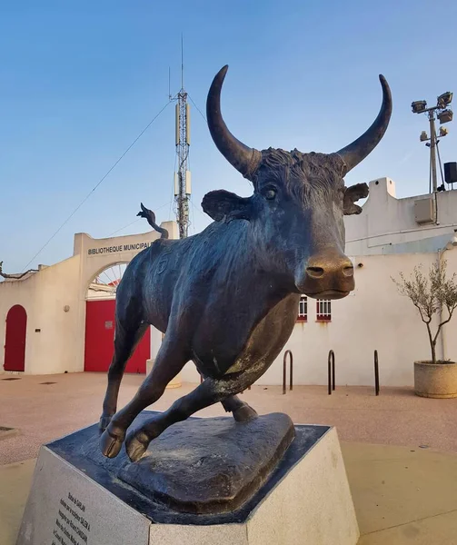 Spanish Bull Day Time — Stock Photo, Image