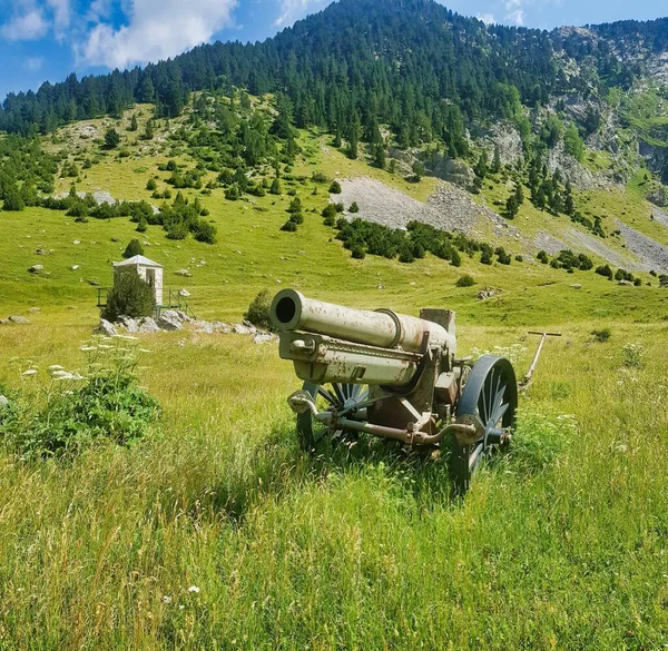 山中的大炮 — 图库照片