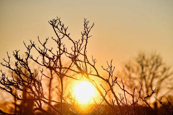 Malebný Výhled Venkovní Scénu — Stock fotografie