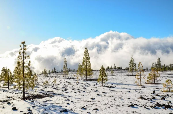 Malerischer Blick Auf Die Outdoor Szene — Stockfoto