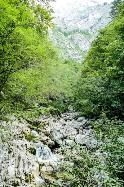 Vista Pittoresca Della Scena All Aperto — Foto Stock